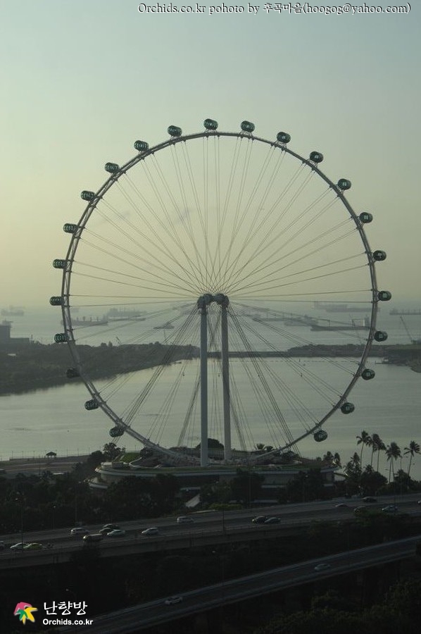 DSC_0008.jpg : 싱가폴