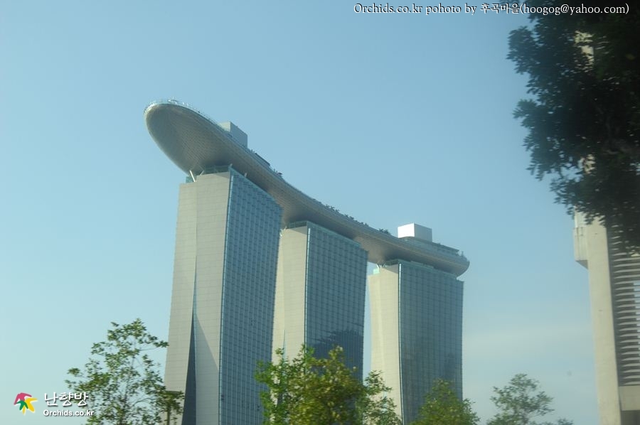 DSC_0028.jpg : 싱가폴