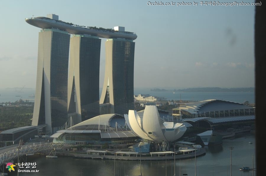 DSC_0009.jpg : 싱가폴